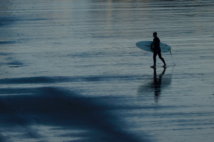 how to surf the dark web