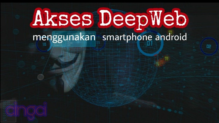 reddit darknet markets noobs
