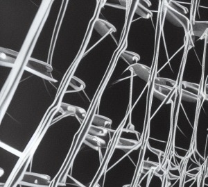 legit darknet vendors