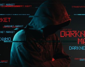 how to use the dark web