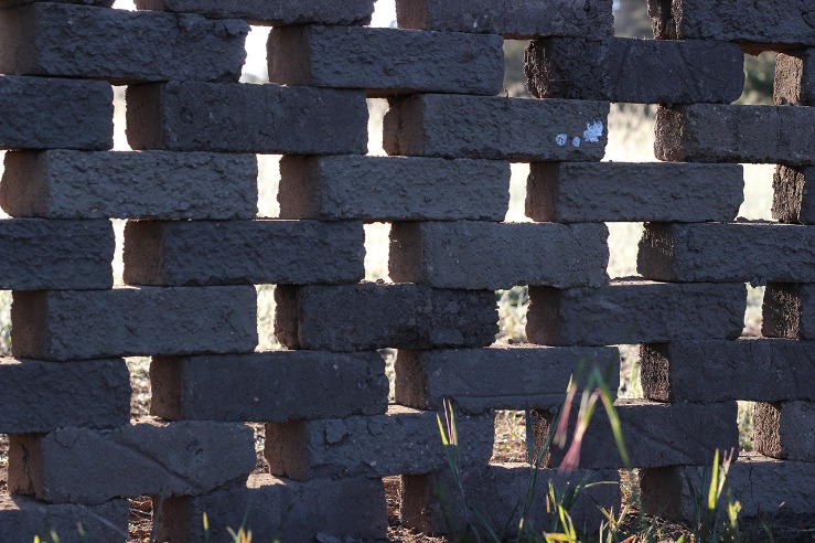 is wall street market darknet down