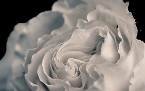 how to use onion sites