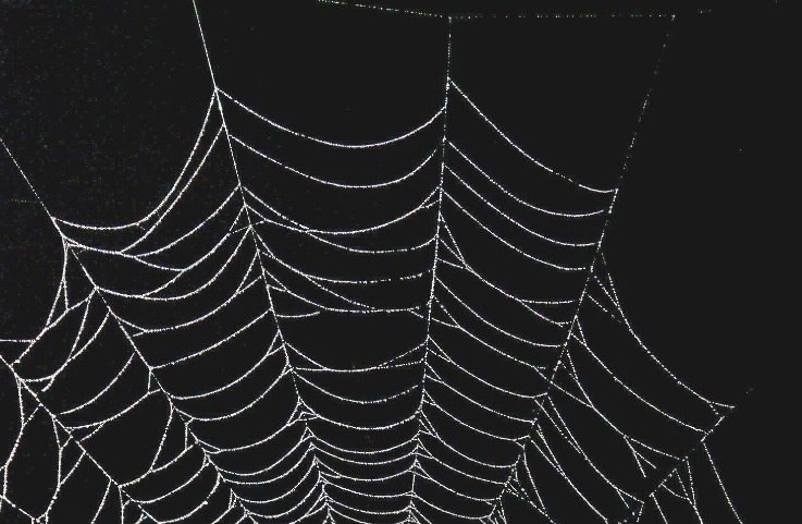 deep web drug markets