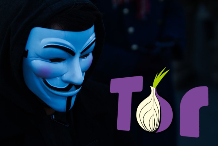 tor search engine link