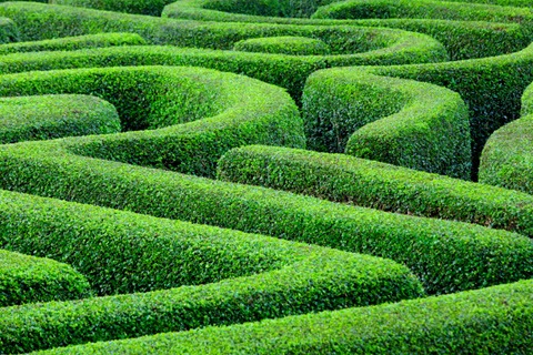 guide to using darknet markets