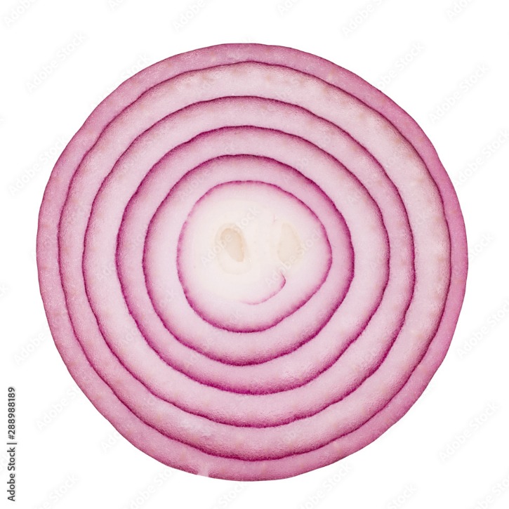 .onion dark web
