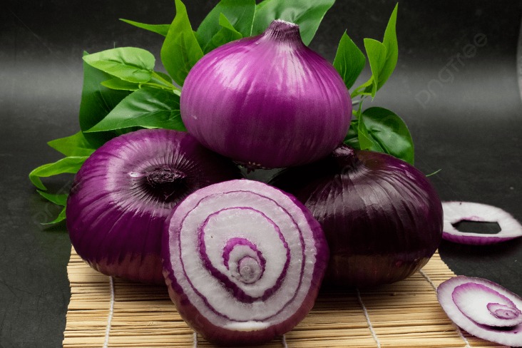 .onion dark web