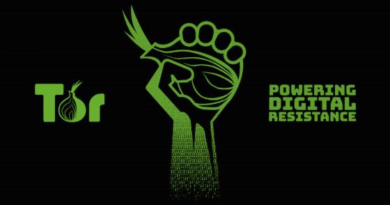 tor search engine link