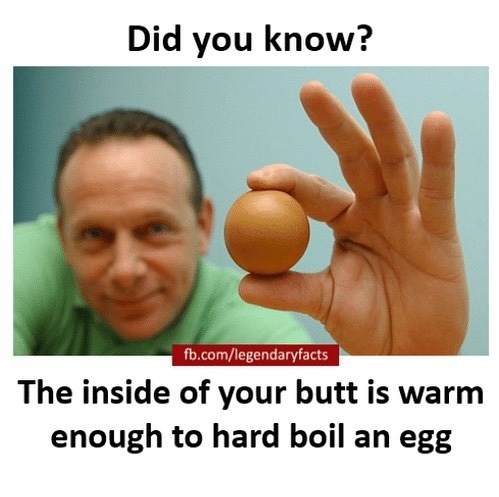 how to search the dark web