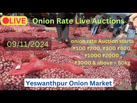 onion live links