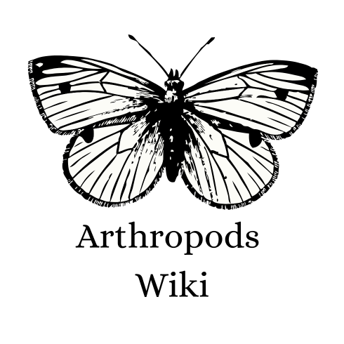 hidden uncensored wiki